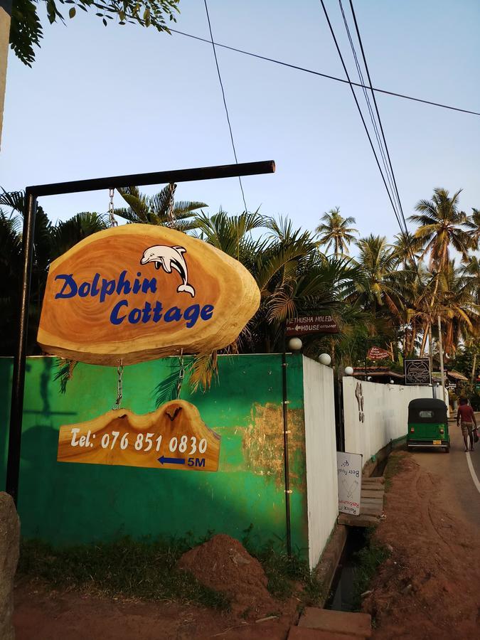 Dolphin Cottage 米瑞莎 外观 照片