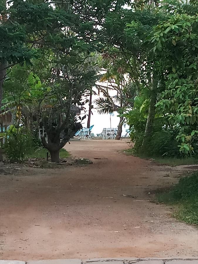 Dolphin Cottage 米瑞莎 外观 照片