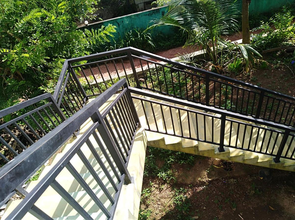 Dolphin Cottage 米瑞莎 外观 照片